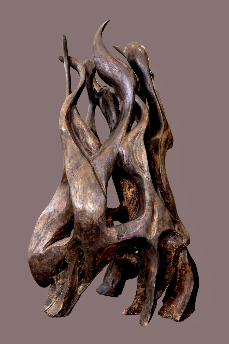 数日間限定セール！！多田　博一先生　遺跡のラクダ(シリア) 多肉販売会開催のお知らせ☘️☘️☘️ . ☆ 開催日時 10/25（土